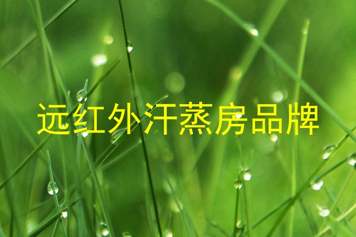 远红外汗蒸房品牌