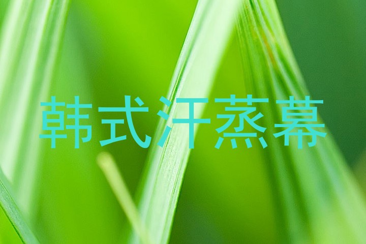 韩式汗蒸幕