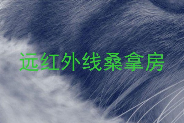 远红外线桑拿房