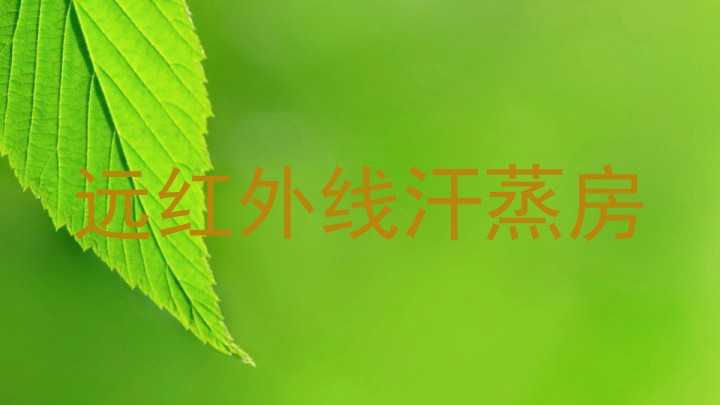 远红外线汗蒸房