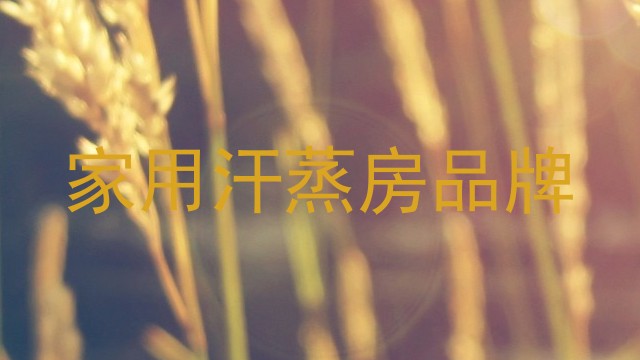 家用汗蒸房品牌