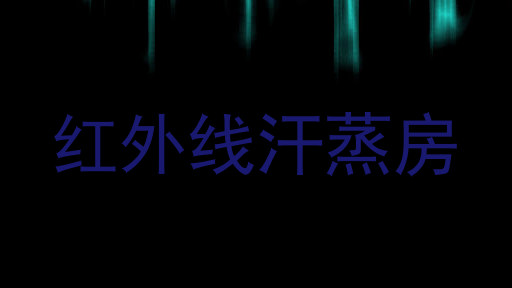 红外线汗蒸房