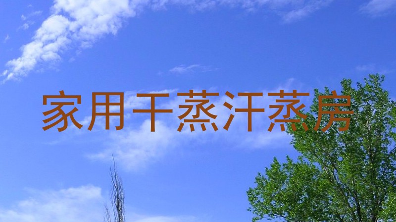 家用干蒸汗蒸房