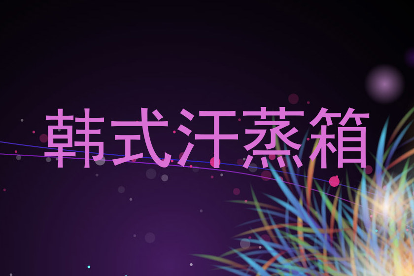 韩式汗蒸箱
