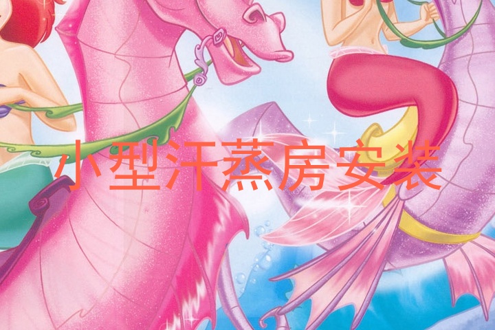 小型汗蒸房安装