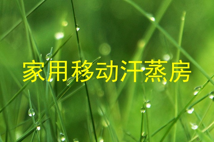 家用移动汗蒸房