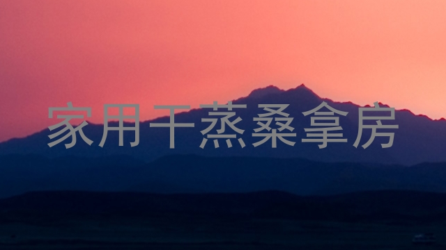 家用干蒸桑拿房