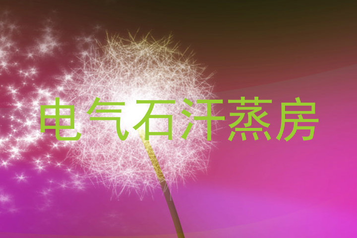 电气石汗蒸房