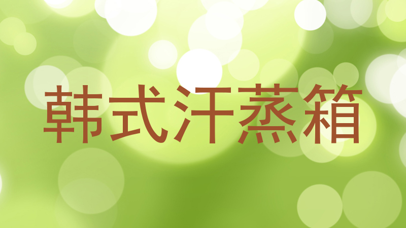 韩式汗蒸箱