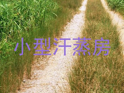 小型汗蒸房