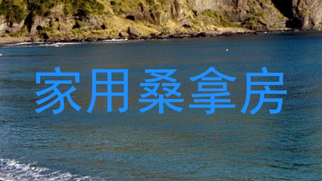 家用桑拿房