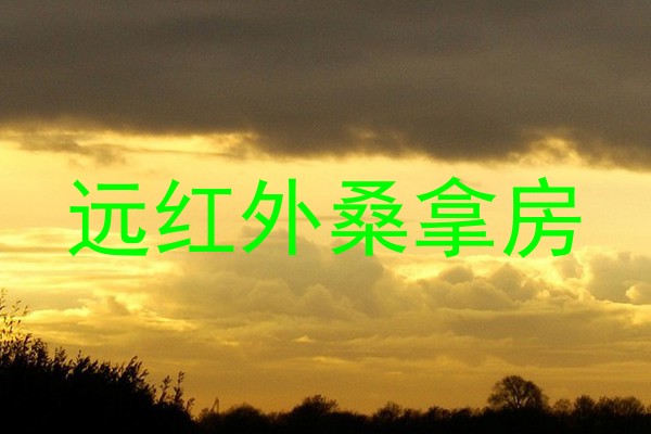 远红外桑拿房
