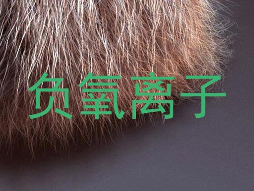 负氧离子