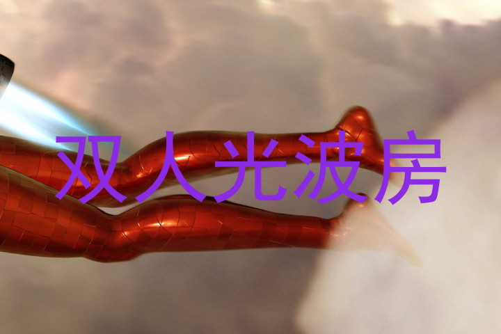 双人光波房