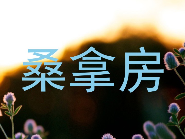 桑拿房