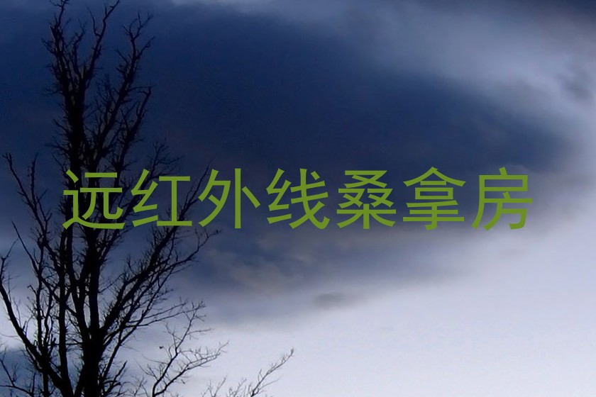 远红外线桑拿房