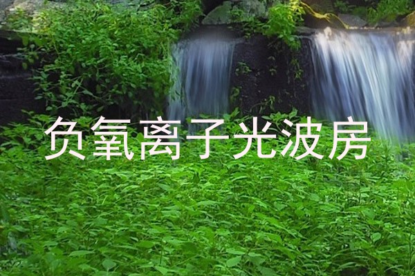负氧离子光波房