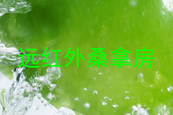 远红外桑拿房