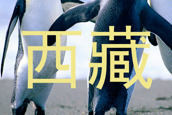 西藏