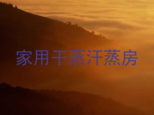 家用干蒸汗蒸房