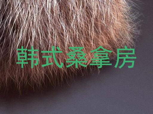 韩式桑拿房