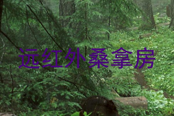 远红外桑拿房