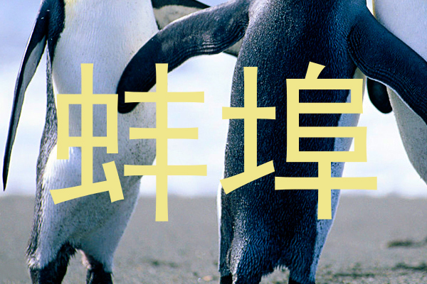蚌埠