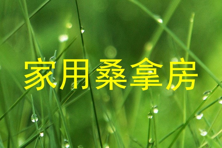 家用桑拿房