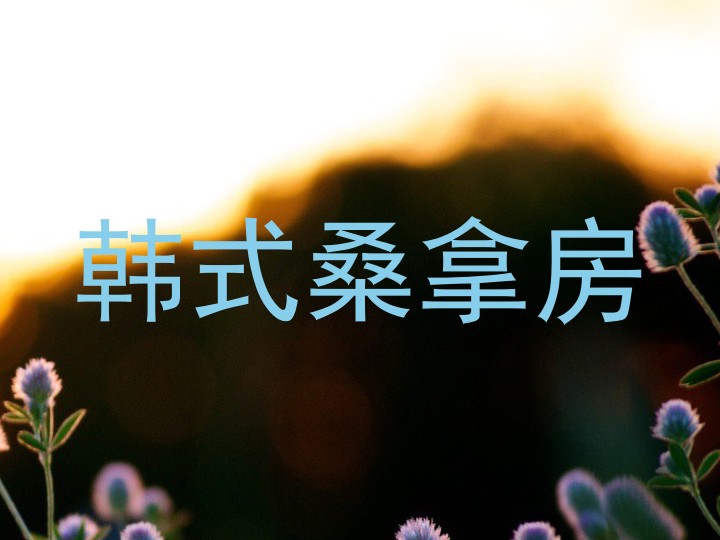 韩式桑拿房