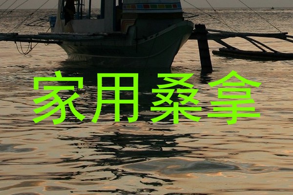 家用桑拿