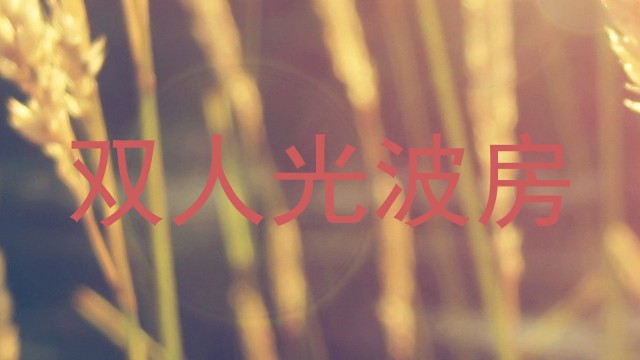 双人光波房