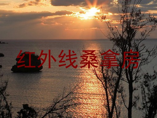 红外线桑拿房