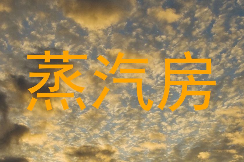 蒸汽房