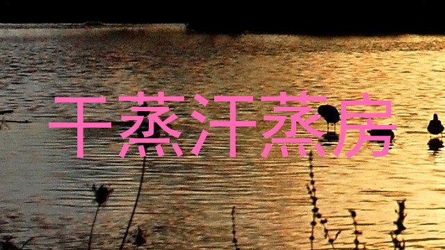 干蒸汗蒸房