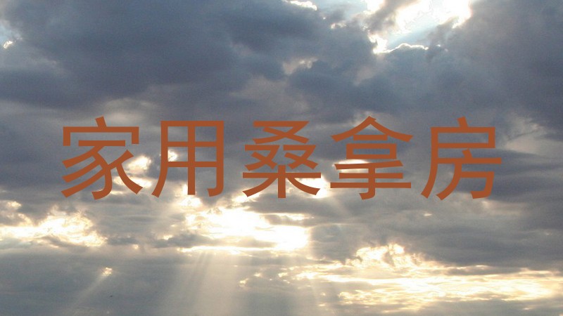 家用桑拿房