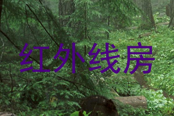 红外线房