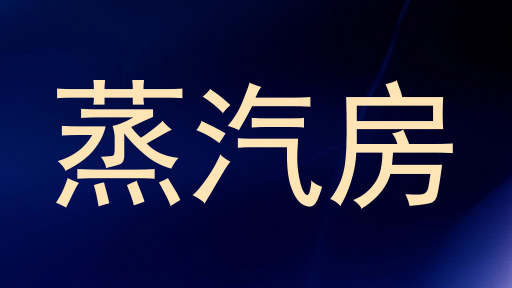 蒸汽房