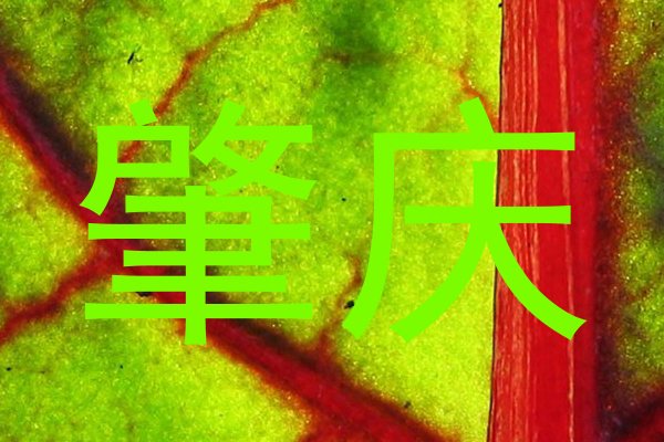 肇庆