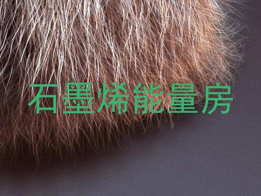 石墨烯能量房