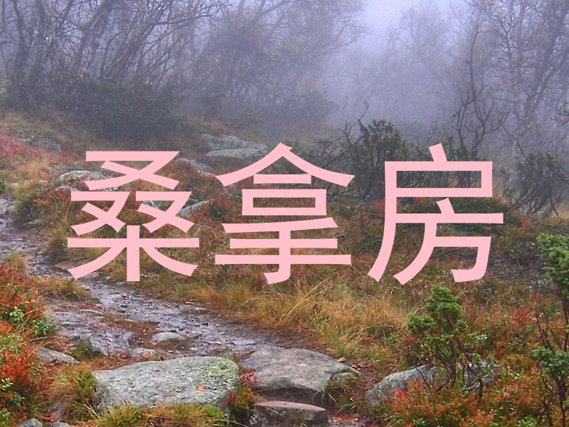 桑拿房