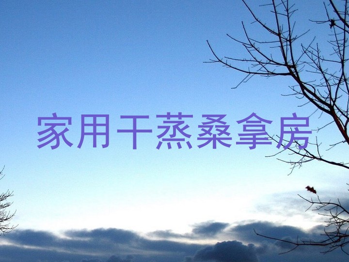 家用干蒸桑拿房