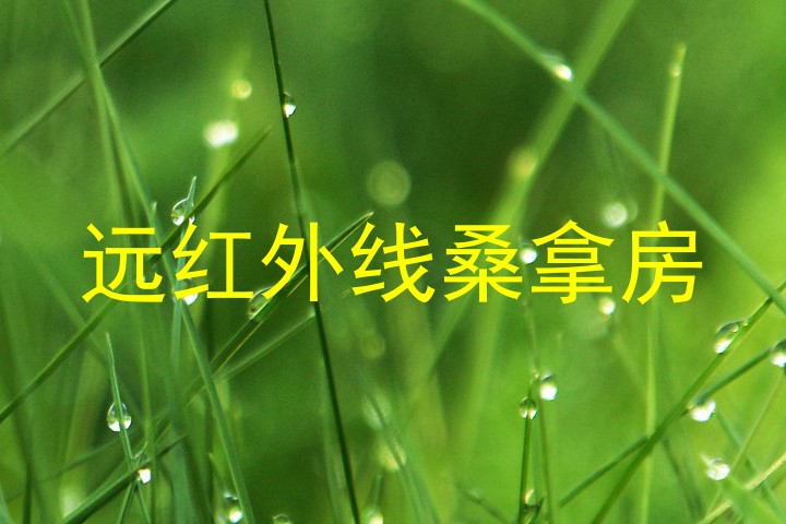 远红外线桑拿房