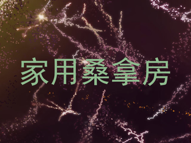 家用桑拿房