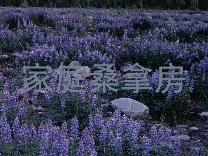 家庭桑拿房