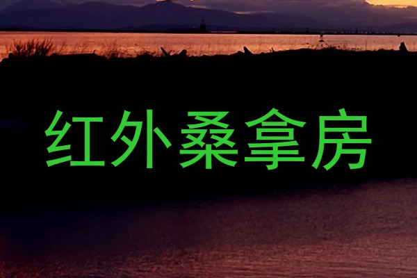 红外桑拿房