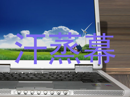 汗蒸幕
