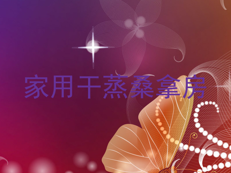 家用干蒸桑拿房