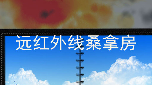 远红外线桑拿房