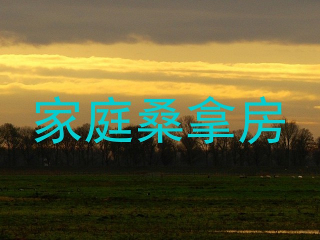 家庭桑拿房