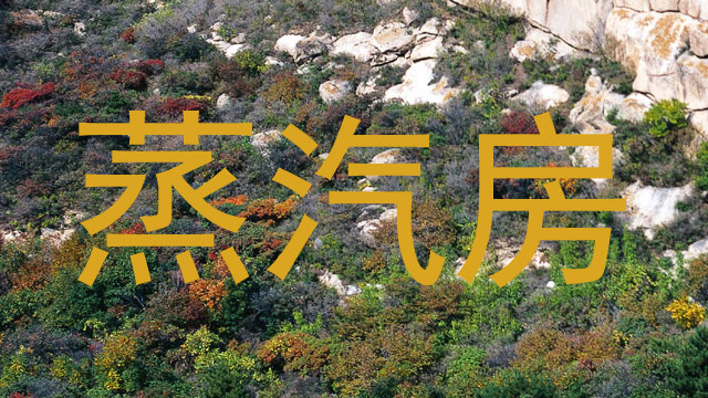 蒸汽房